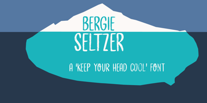 Bergie Seltzer Fuente Póster 5