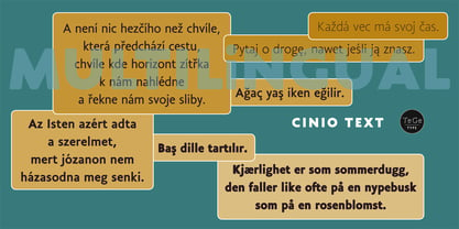 Cinio Text Fuente Póster 1