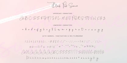 Black Pink Summer Font Poster 4