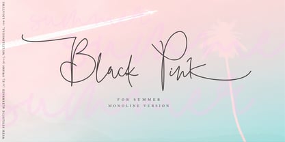 Black Pink Summer Fuente Póster 10