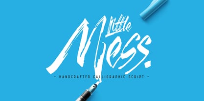 Little Mess Font Poster 6
