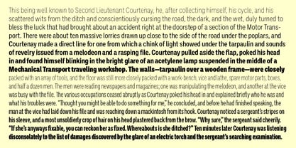 Ballinger Condensed Series Font Poster 4