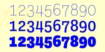 Ballinger Condensed Series Font Poster 7