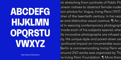 Faktum Font Poster 8