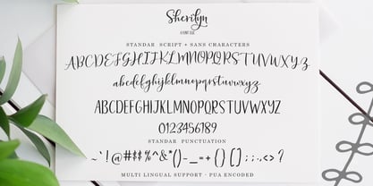 Sherilyn Script Font Duo Font Poster 5