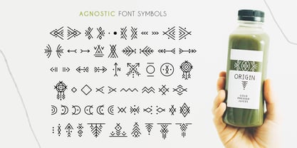 Agnostic Font Font Poster 6