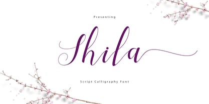 Shila Script Font Poster 6