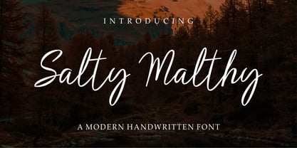 Salty Malthy Font Poster 6