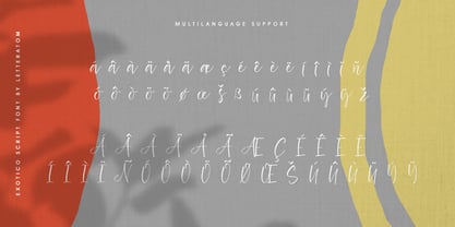 Exotico Font Poster 5
