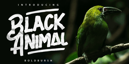 Black Animal Fuente Póster 7