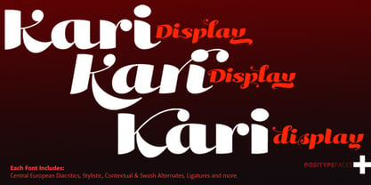 Kari Display Font Poster 3