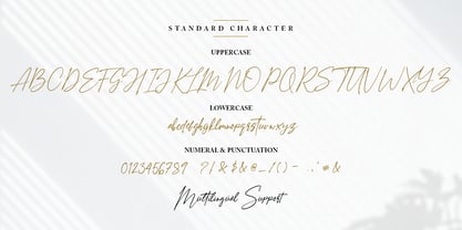 Amostely Signature Font Poster 2