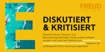 Freud Font Poster 7