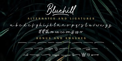 Bluehill Font Poster 1