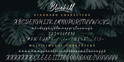 Bluehill Font Poster 2