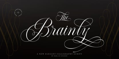 Brainly Script Font Poster 9
