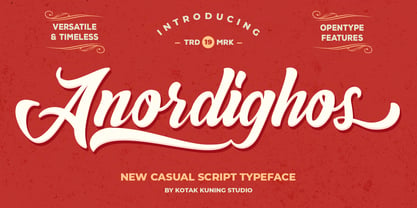 Anordighos Font Poster 7