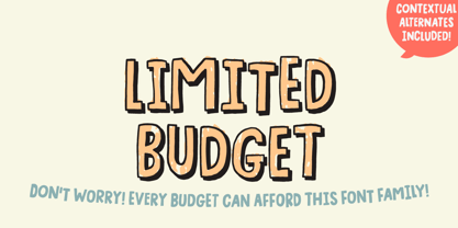 Limited Budget Font Poster 8
