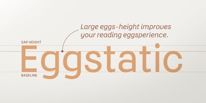 Yolk Font Poster 7