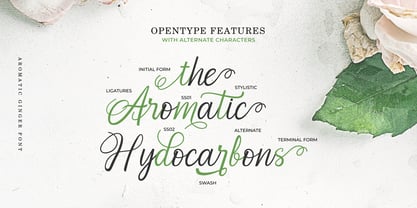 Aromatic Ginger Font Poster 6