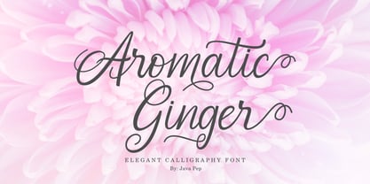 Aromatic Ginger Font Poster 10