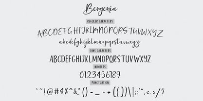Bergenia Script Font Duo Fuente Póster 6