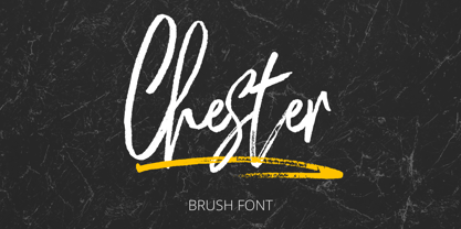 Chester Brush Font Poster 6