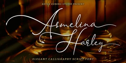 Asmelina Harley Font Poster 9