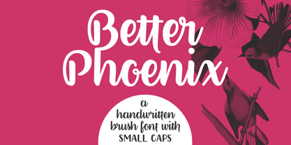 Better Phoenix Font Poster 1