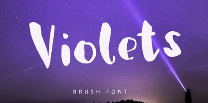 Violets Font Poster 12