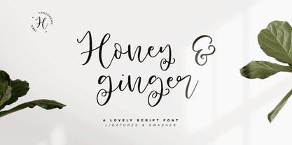 Honey and Ginger Font Poster 6