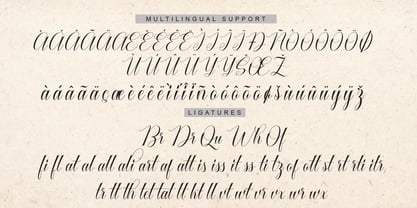 Cataline Script Font Poster 12