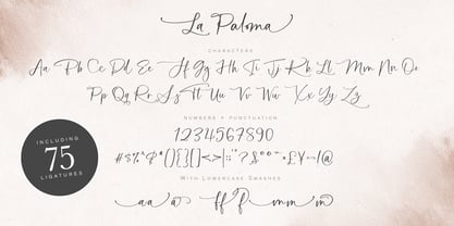 La Paloma Script Fuente Póster 5