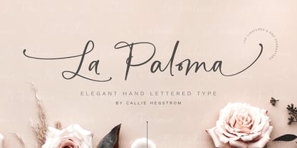 La Paloma Script Font Poster 15