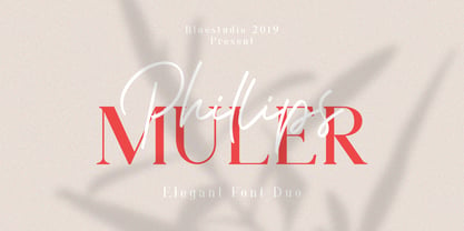 Phillips Muler Font Poster 10