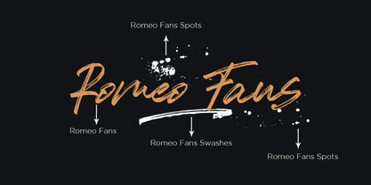 Romeo Fans Font Poster 3