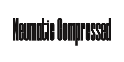 Neumatic Compressed Font Poster 12