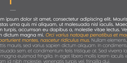 MD Grotesque Font Poster 6