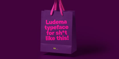 Ludema Police Poster 7