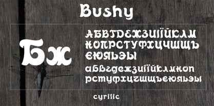 Bushy Font Poster 3