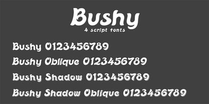 Bushy Font Poster 2