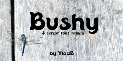 Bushy Font Poster 1