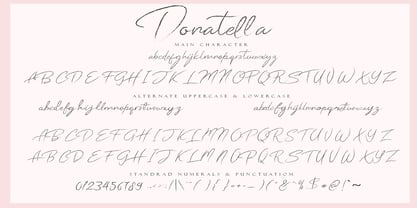 Donatella Font Poster 2