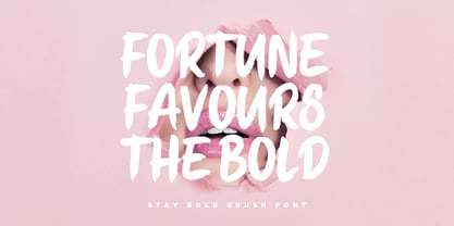 Stay Bold Font Poster 4