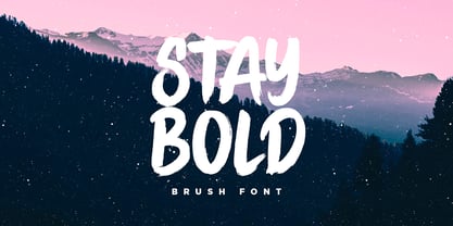 Stay Bold Font Poster 6
