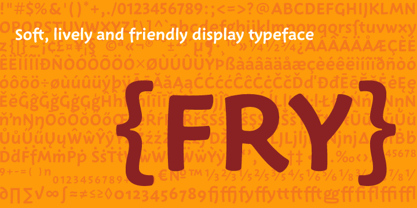 Fry Font Poster 1