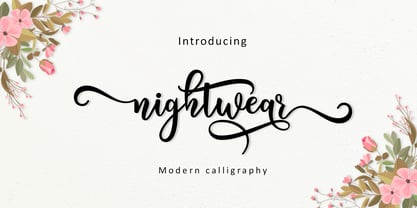 Nightwear Script Font Poster 4