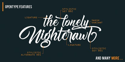 Nightfall Script Font Poster 7
