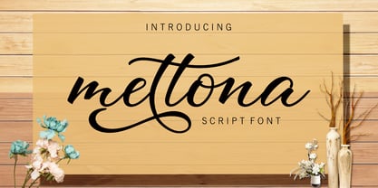 Mettona Script Font Poster 5