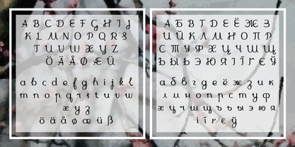 Cursivica Font Poster 2